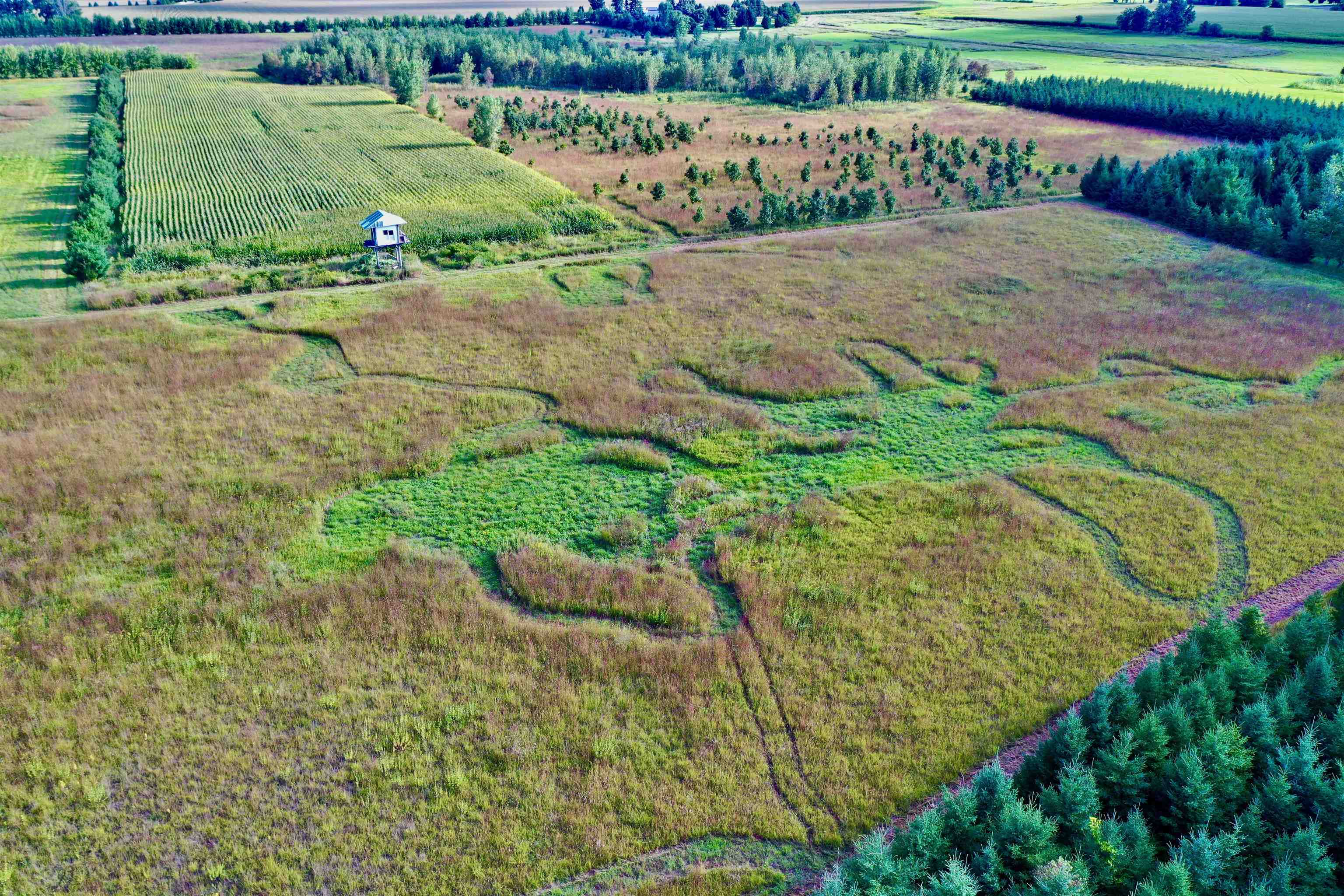 N5449 County M Brandon, WI 53919 - Photo 9 of 70