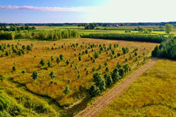 $924,900 | N5449 County M, Brandon, WI 53919