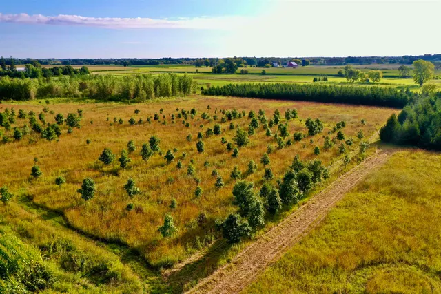 $924,900 | N5449 County M, Brandon, WI 53919