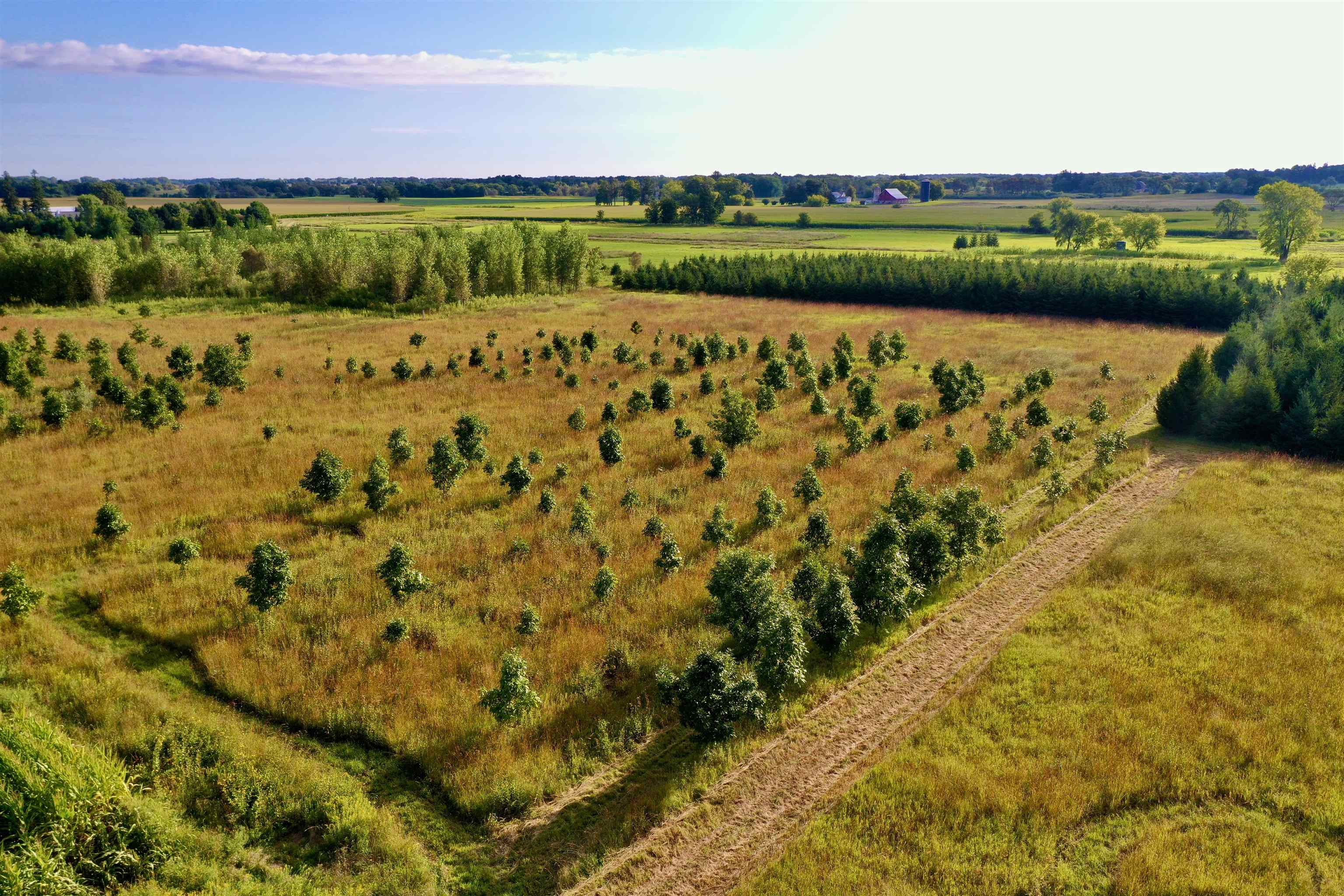 N5449 County M Brandon, WI 53919 - Photo 10 of 70