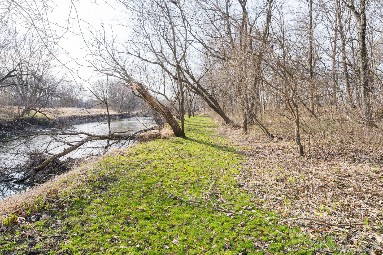 6493 South Brooklyn Road Rochelle, IL 61068 - Photo 51 of 60