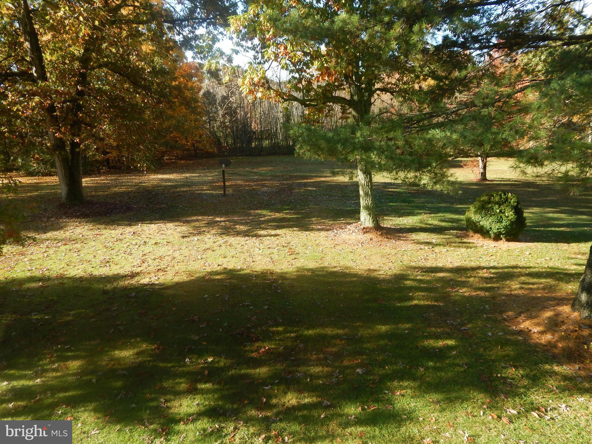 49 Duval Road Mineral, VA 23117 - Photo 18 of 22 a view of a large yard with large trees
