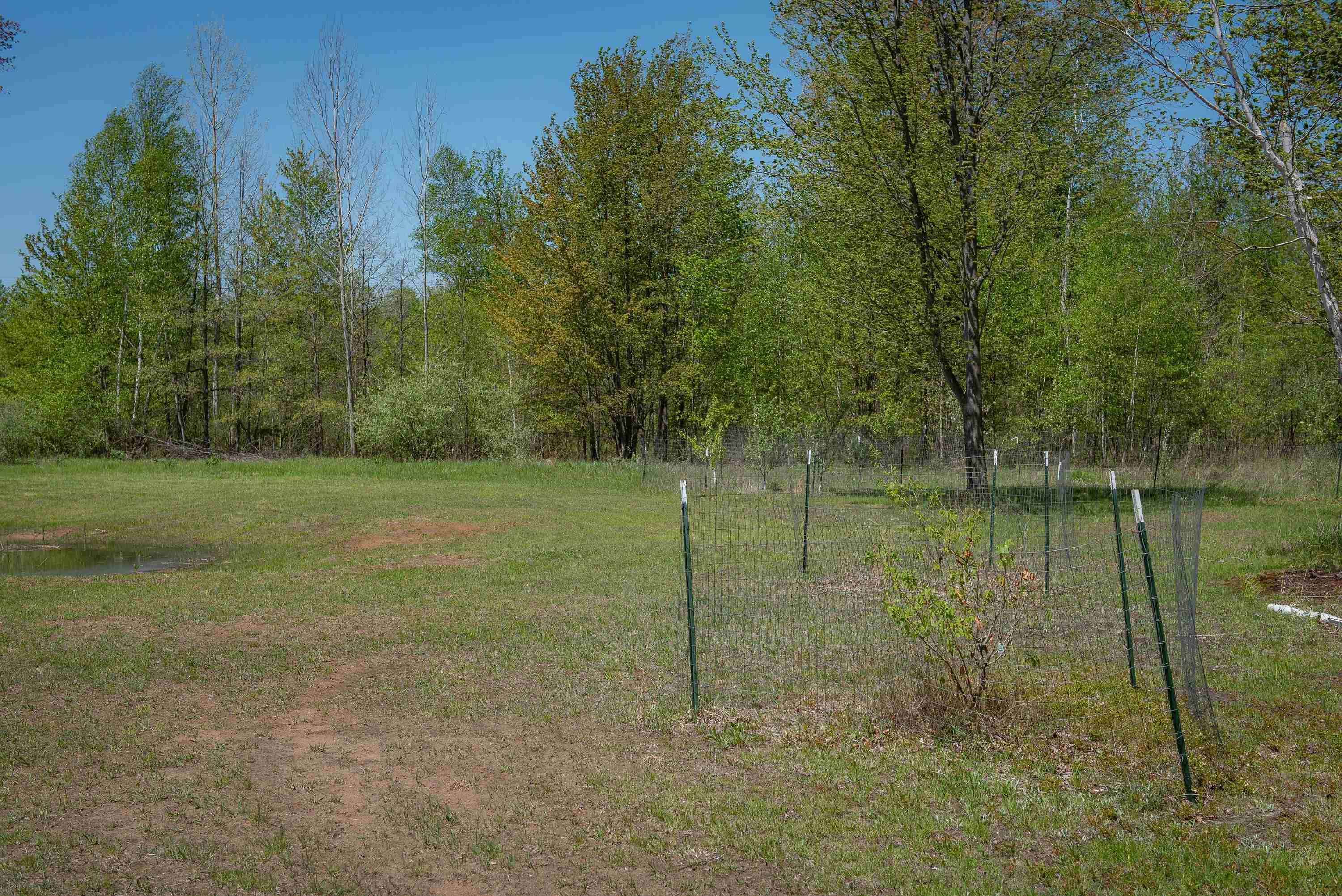 2250 North Coleman Road Coleman, MI 48618 - Photo 61 of 66