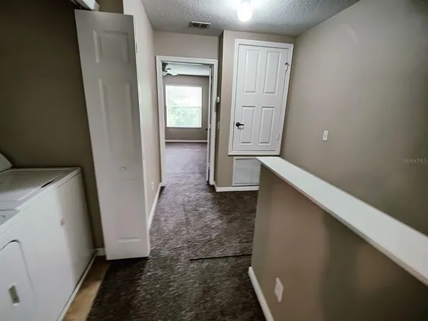 a view of a garden with a tree