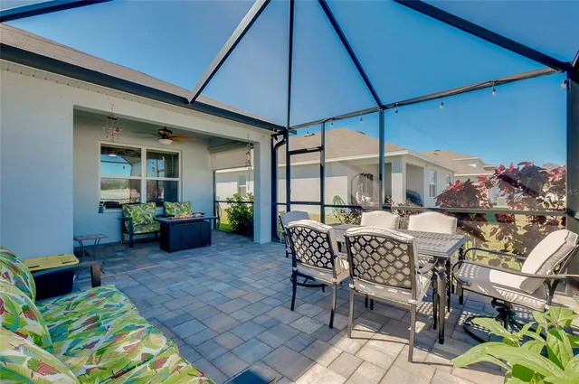 a view of a swimming pool with a lawn chairs under palm trees