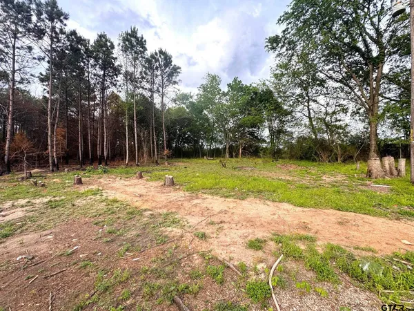 $38,000 | 215 Cr 4205 Naples Tx 75568, Naples, TX 75568