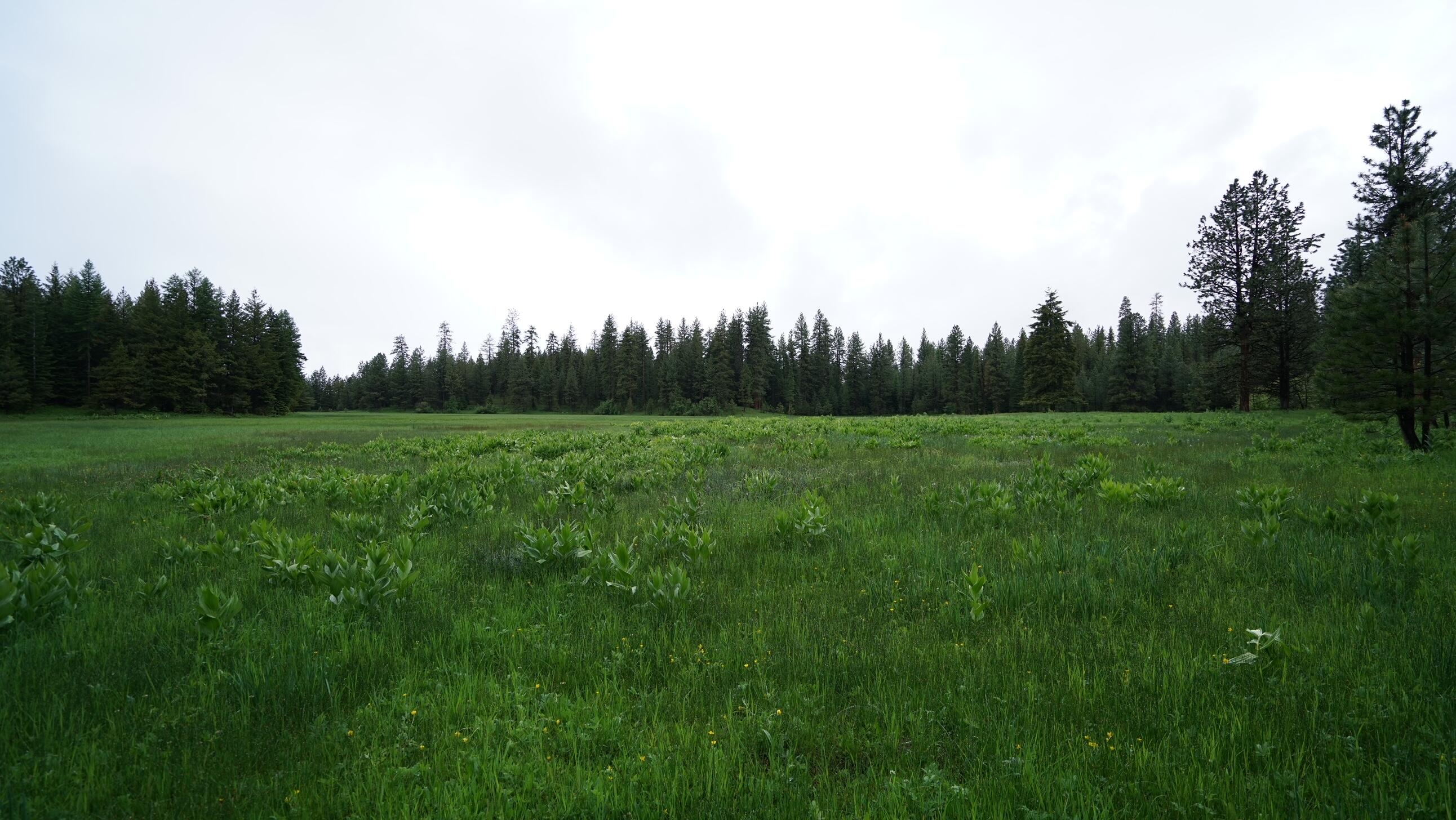214 Forest Road Bates, OR 97817 - Photo 25 of 34 DSC02335