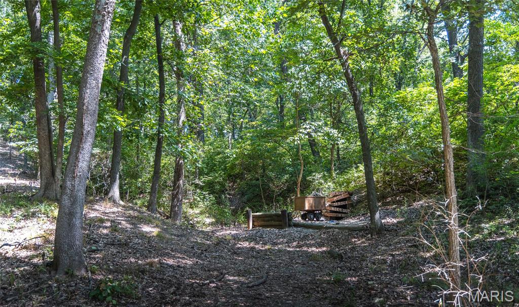 2924 Bess Hollow Road Kampsville, IL 62053 - Photo 95 of 96
