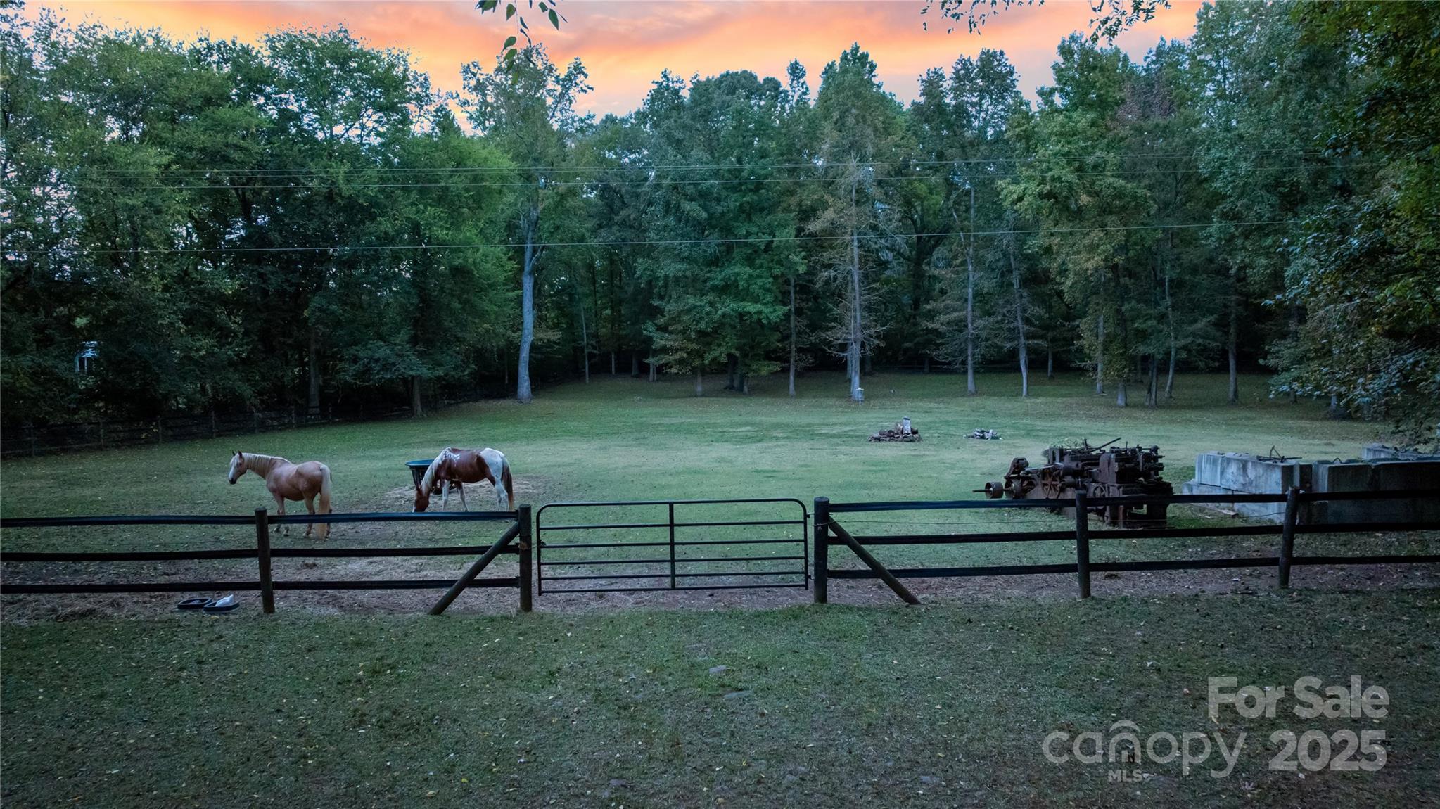 10915 Beatties Ford Road Huntersville, NC 28078 - Photo 38 of 46