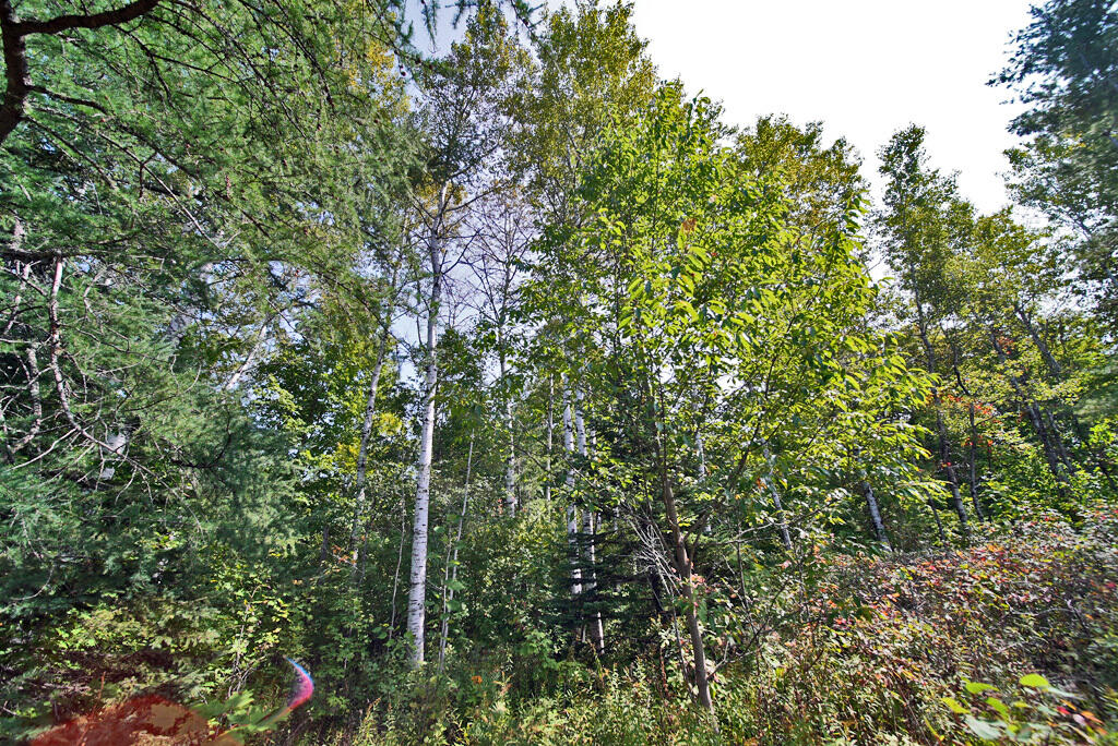 519 B Road Houlton, ME 04730 - Photo 15 of 25 land-waterfront-aroostook-c