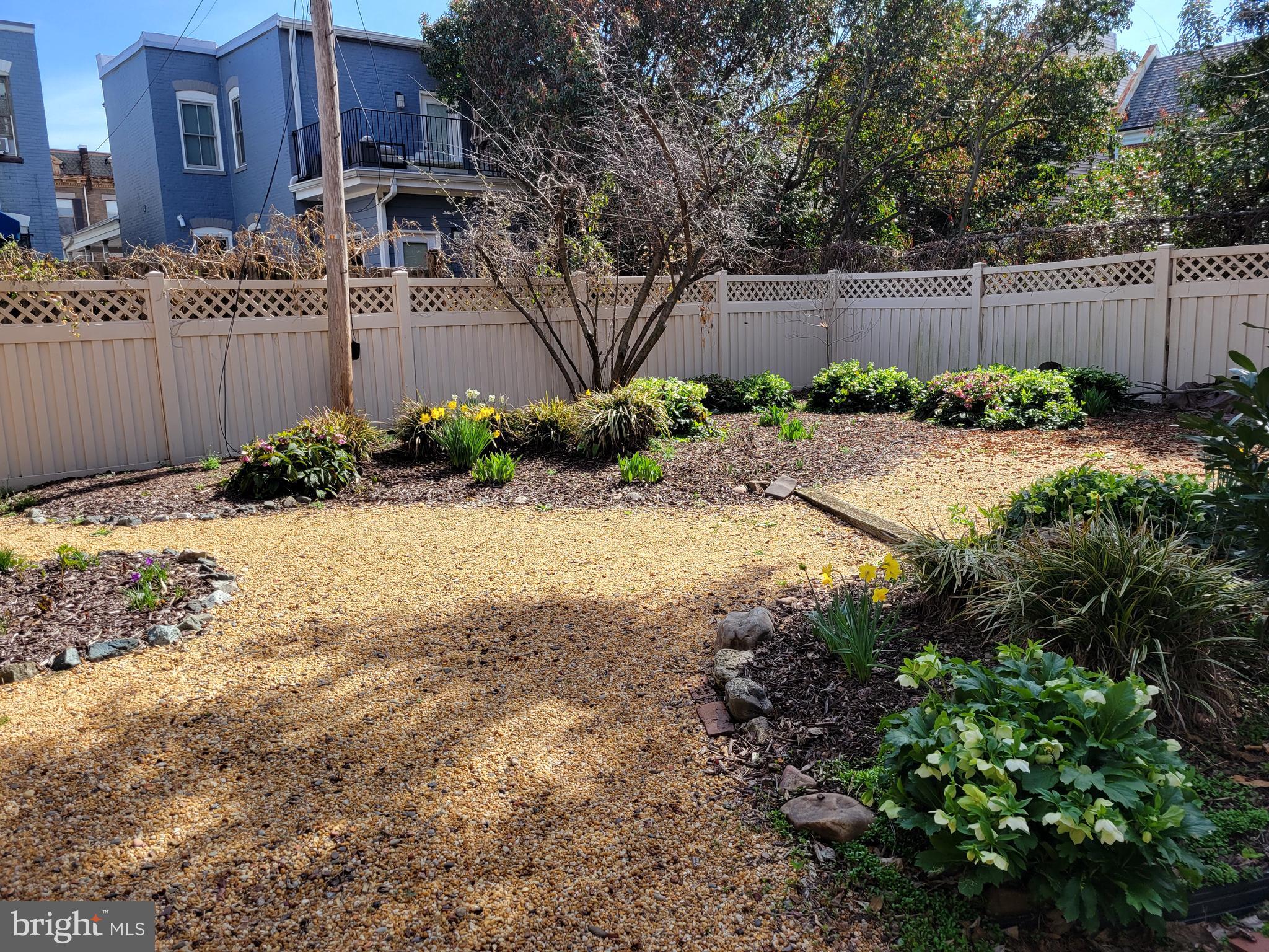 512 U Street Northwest, Unit 6 Washington, DC 20001 - Photo 14 of 21