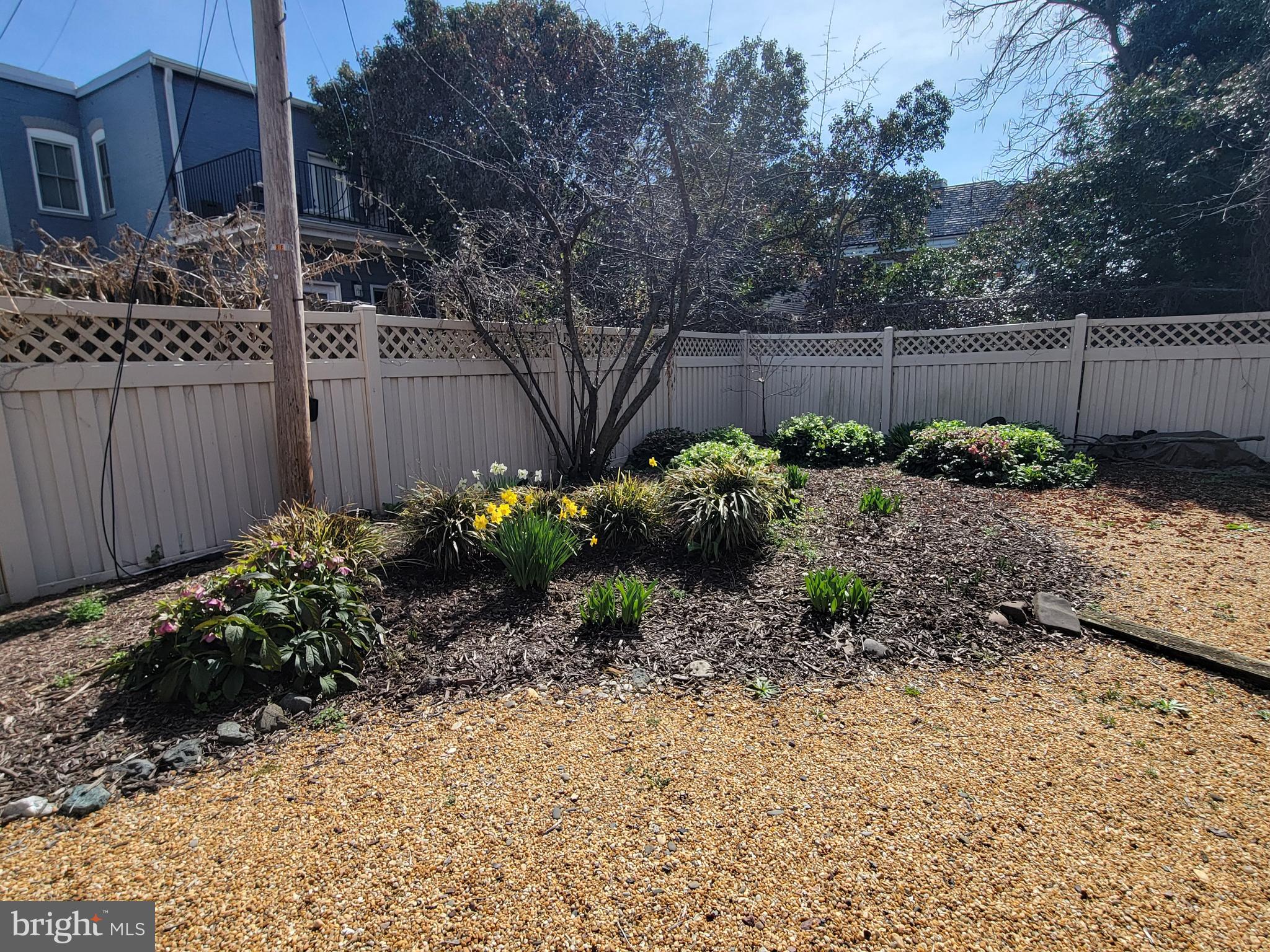 512 U Street Northwest, Unit 6 Washington, DC 20001 - Photo 15 of 21