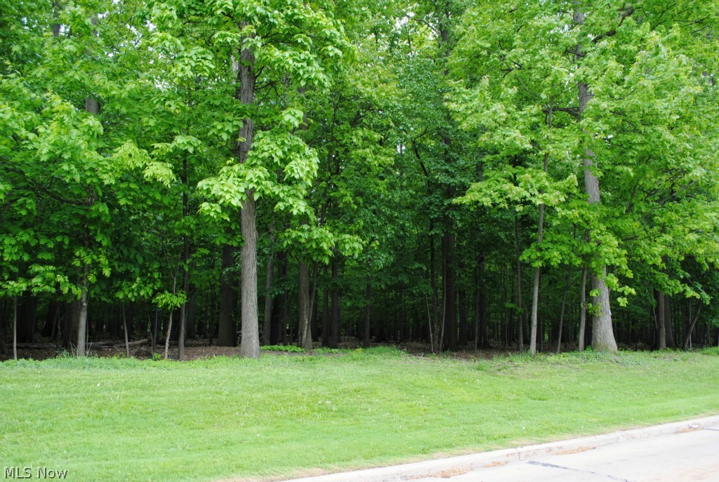 Newton Road Cleveland, OH 44130 - Photo 3 of 11 Gallery Image 3