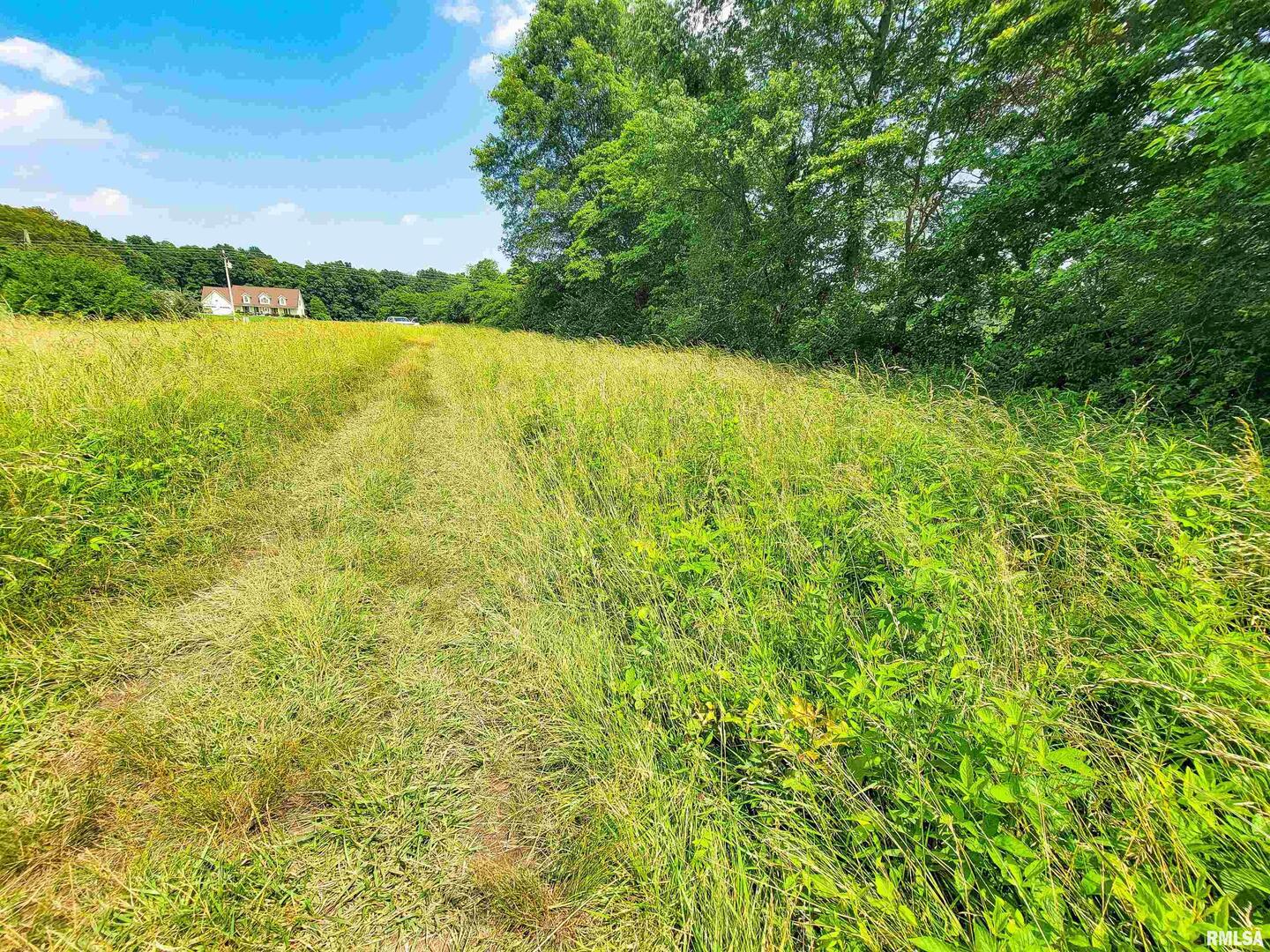 199 Hanging Rock Road Flora, IL 62839 - Photo 6 of 10 a view of lake and mountain view