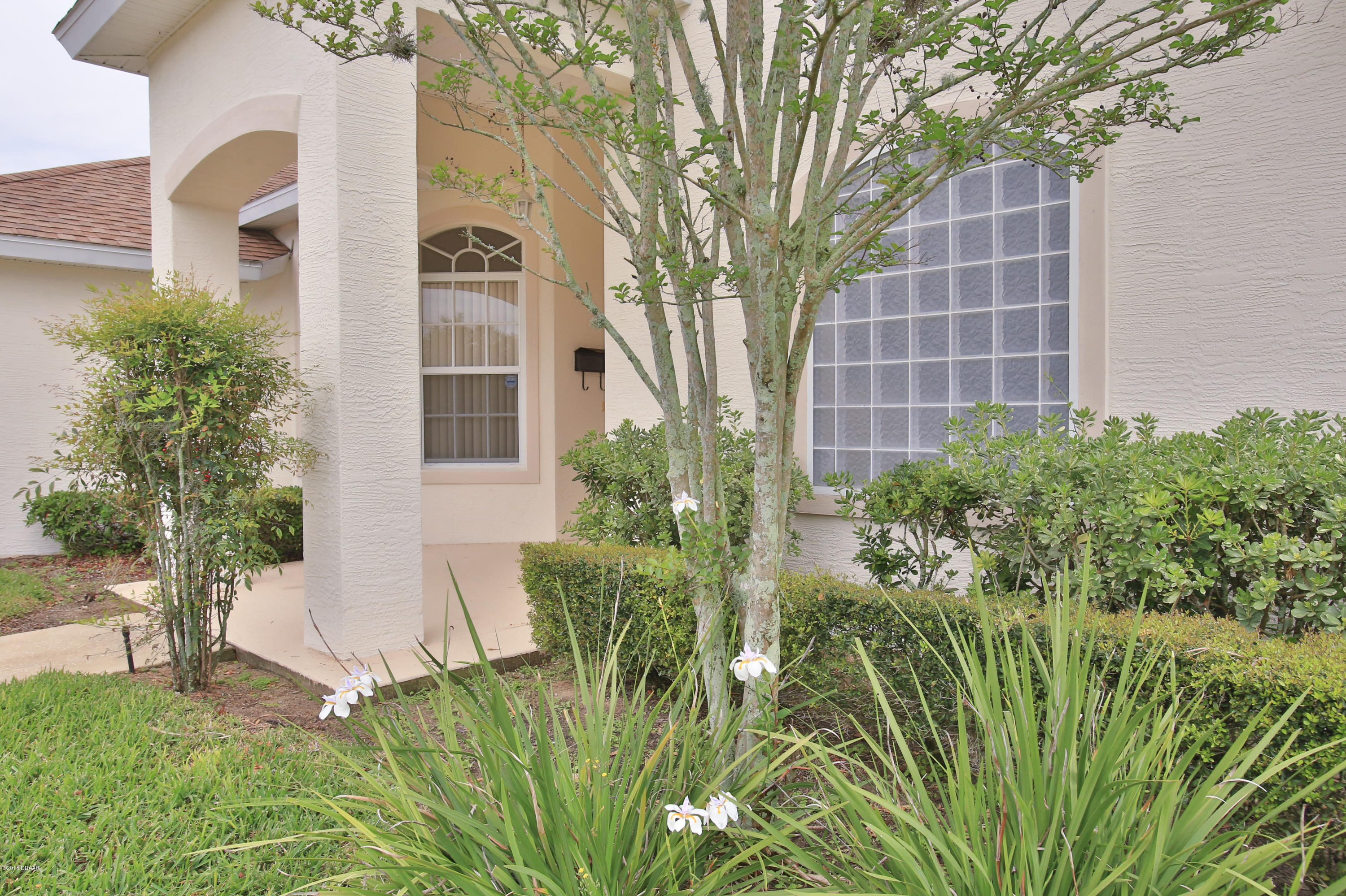 5915 Springview Drive Port Orange, FL 32127 - Photo 29 of 30 Upgraded Landscaping