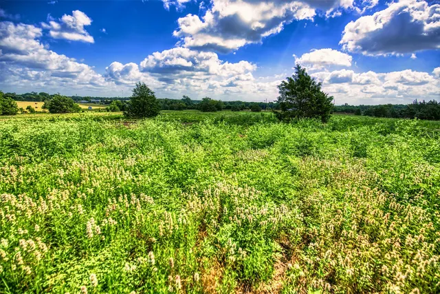 $197,440 | Lot 3 Wonder Hill Road, Chappell Hill, TX 77426