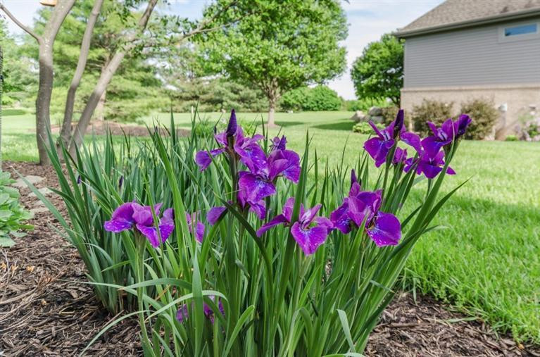 3197 Heather Road Ann Arbor, MI 48108 - Photo 44 of 46 Photo 44