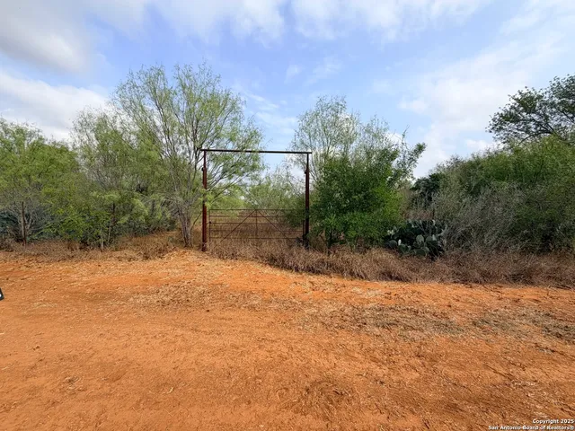 a view of a yard with a tree