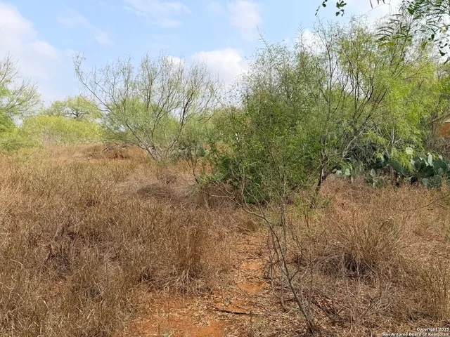 a backyard of a house
