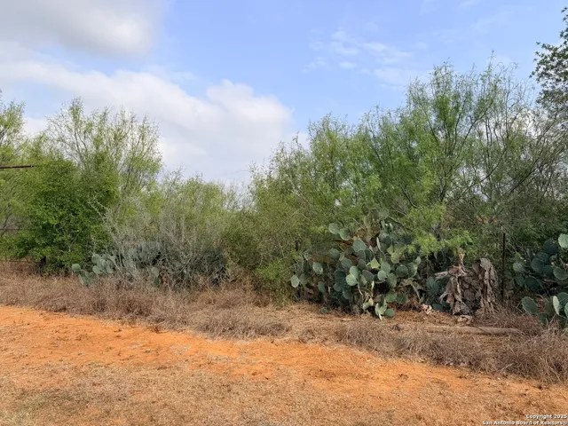 $50,000 | 569 Couser, Charlotte, TX 78011