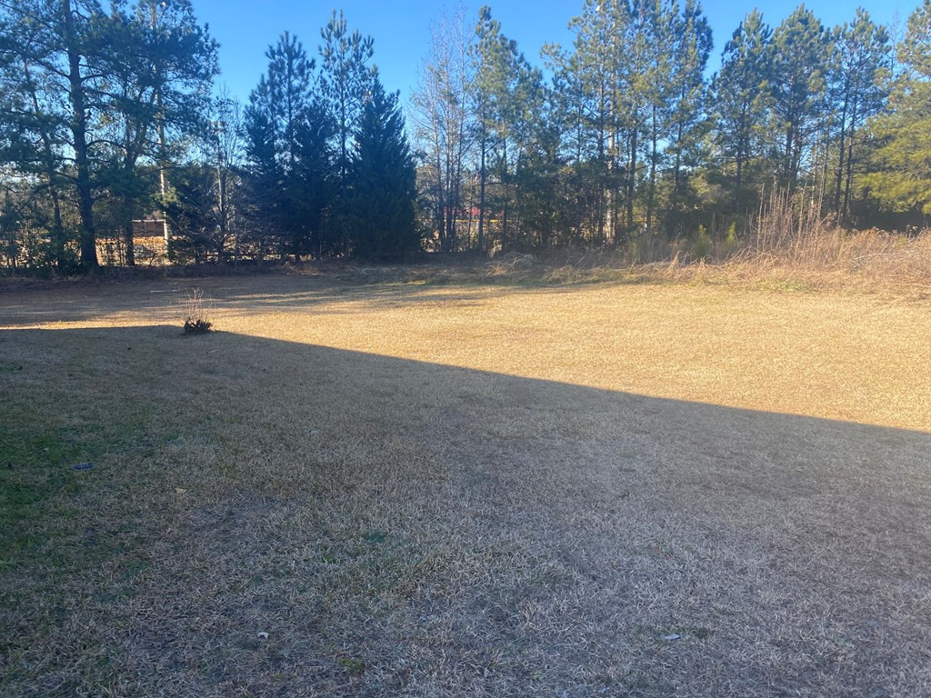 1469 Collins Drive Augusta, GA 30907 - Photo 13 of 13