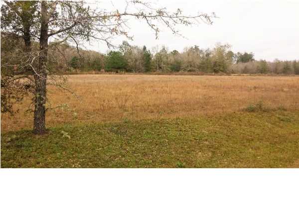 331 Bryant Landing Road Wewahitchka, FL 32465 - Photo 1 of 1