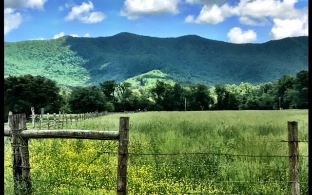 32 Mountain Meadows Dr  