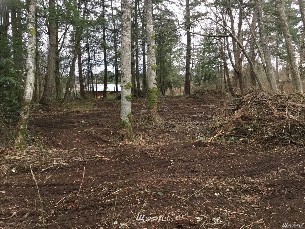 0 Benson Road Point Roberts, WA 98281 - Photo 1 of 8 Gallery Image 1