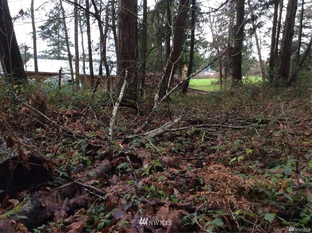 0 Benson Road Point Roberts, WA 98281 - Photo 5 of 8 Gallery Image 5