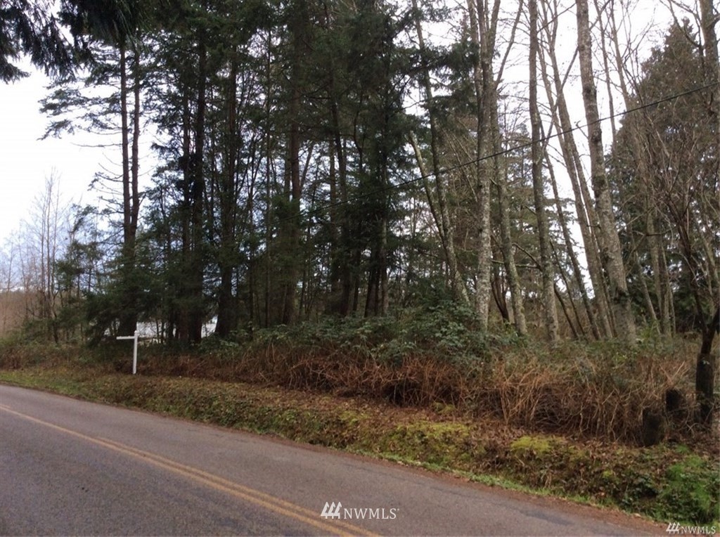 0 Benson Road Point Roberts, WA 98281 - Photo 7 of 8 Gallery Image 7