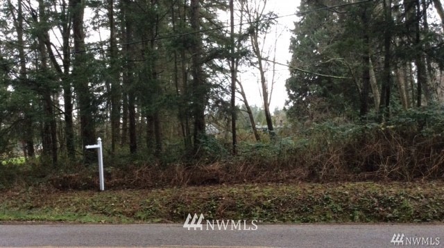 0 Benson Road Point Roberts, WA 98281 - Photo 8 of 8 Gallery Image 8
