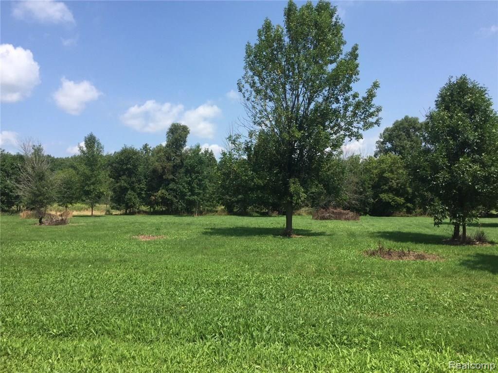 20-acre Root Road Yale, MI 48097 - Photo 1 of 1