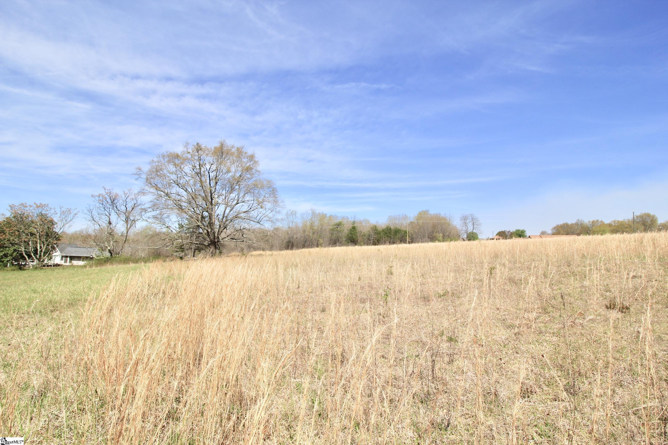 390 Old Mill Road Chesnee, SC 29323 - Photo 14 of 39