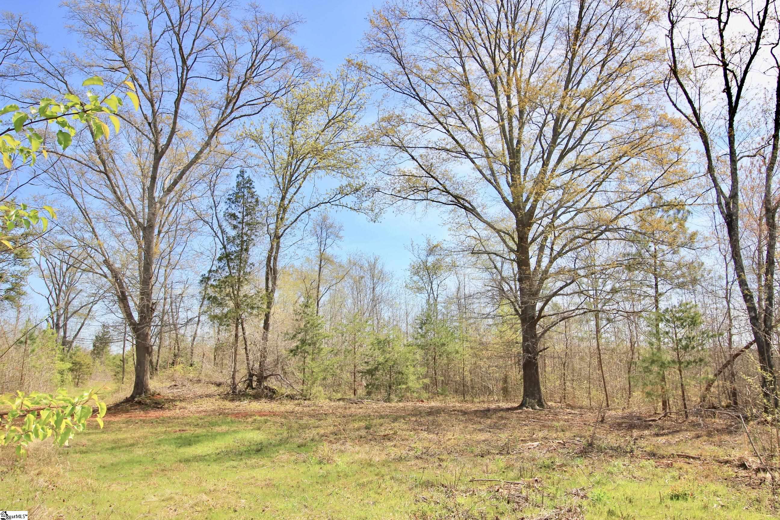 390 Old Mill Road Chesnee, SC 29323 - Photo 16 of 39