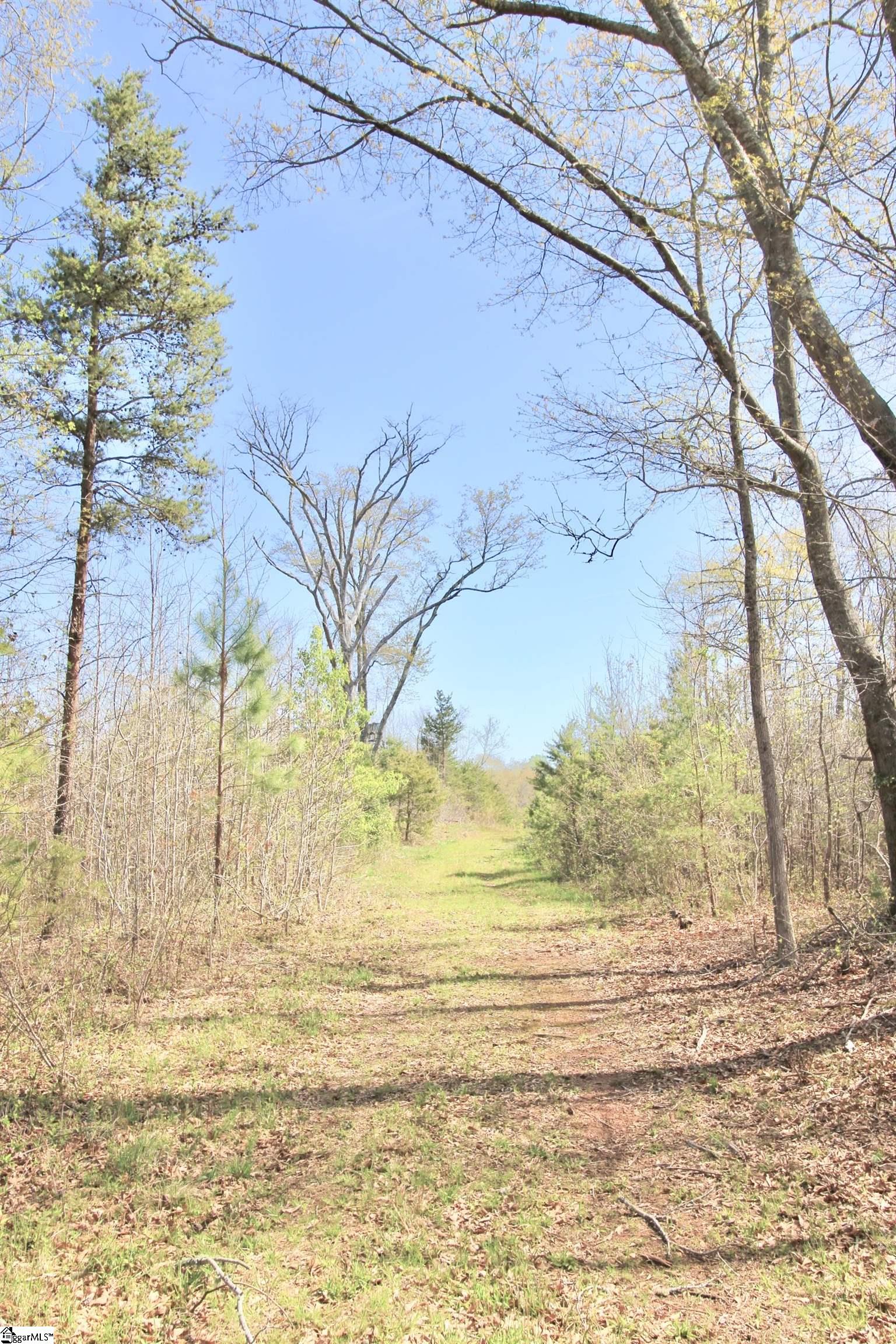 390 Old Mill Road Chesnee, SC 29323 - Photo 17 of 39