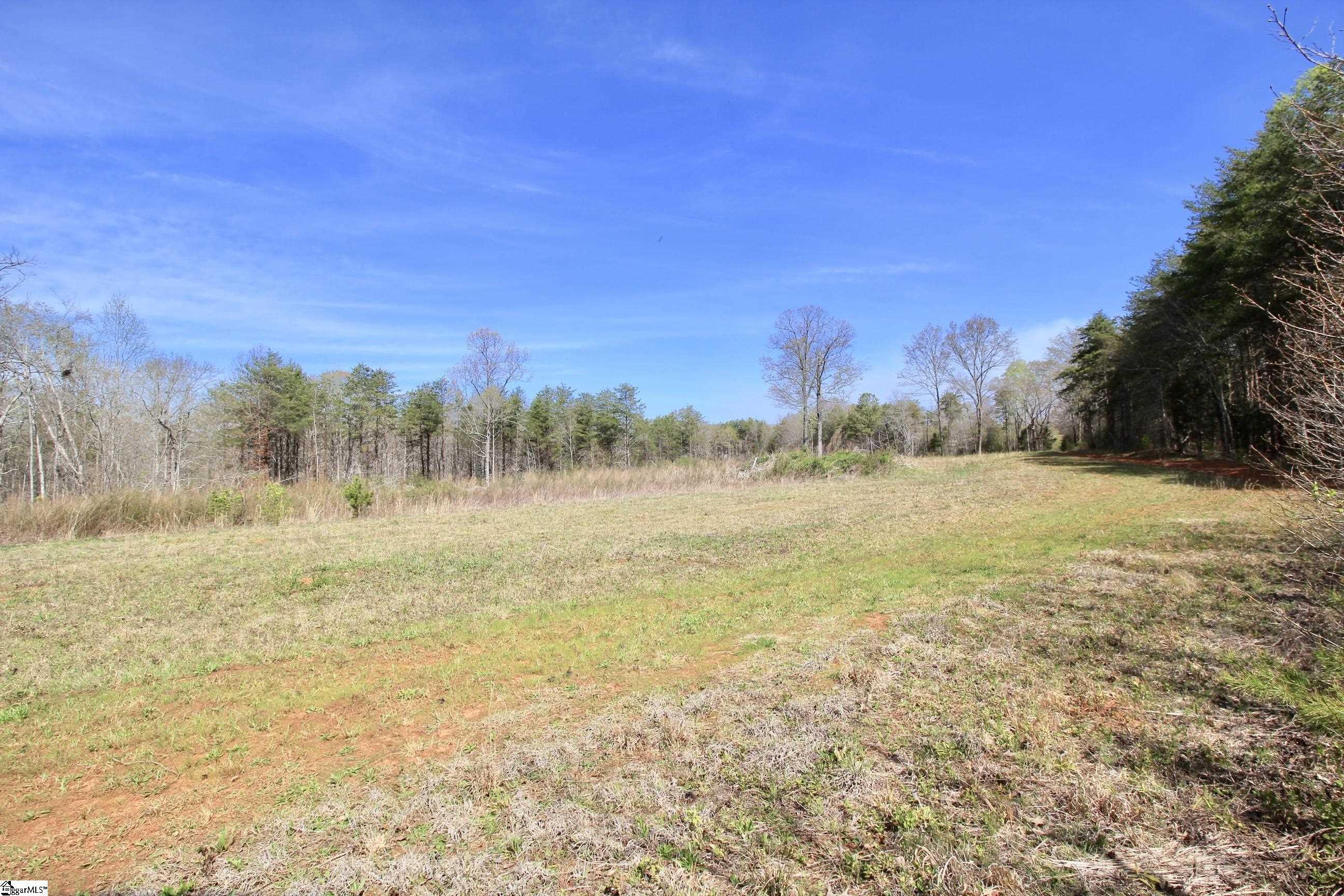 390 Old Mill Road Chesnee, SC 29323 - Photo 20 of 39