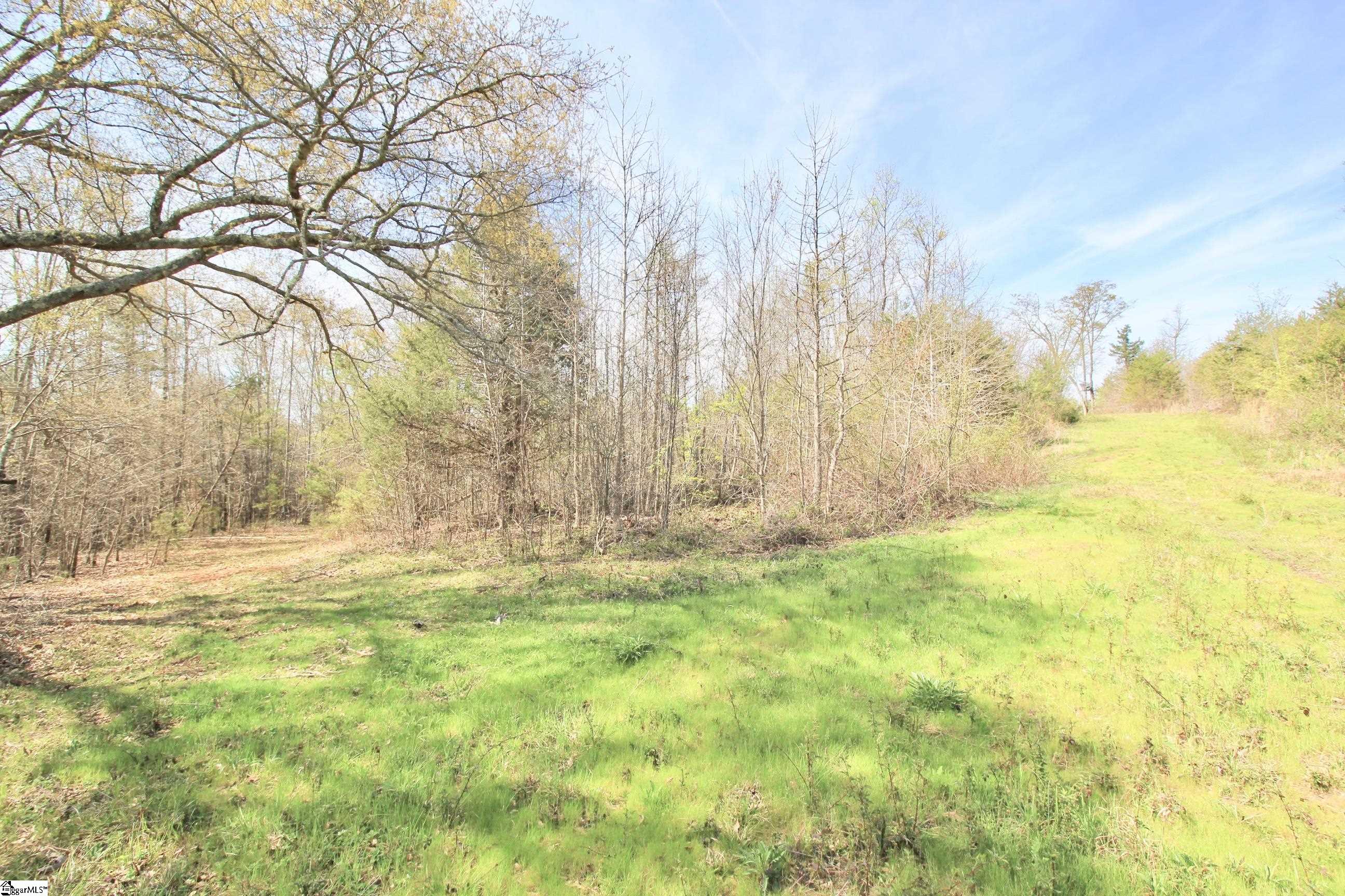 390 Old Mill Road Chesnee, SC 29323 - Photo 2 of 39