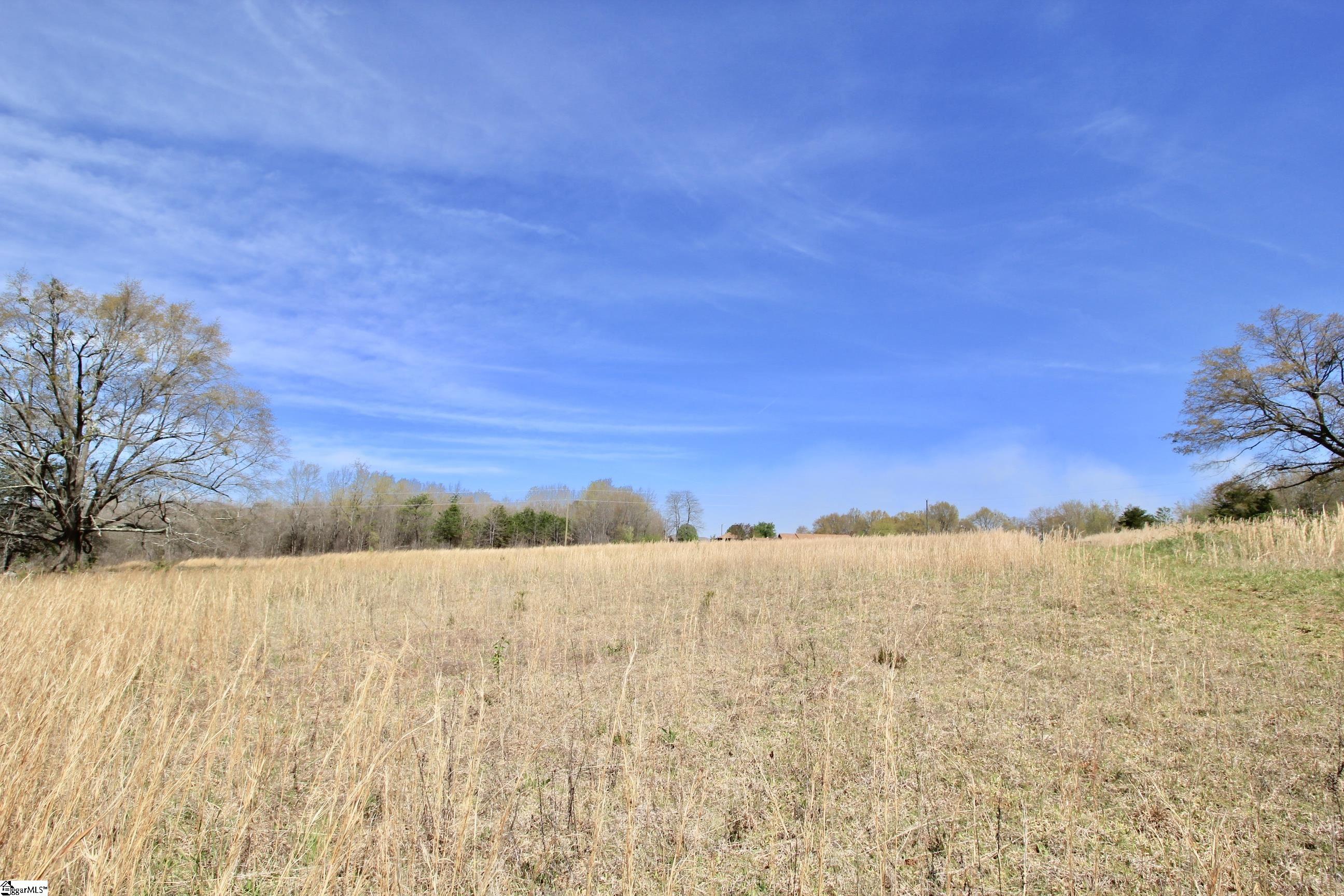 390 Old Mill Road Chesnee, SC 29323 - Photo 21 of 39