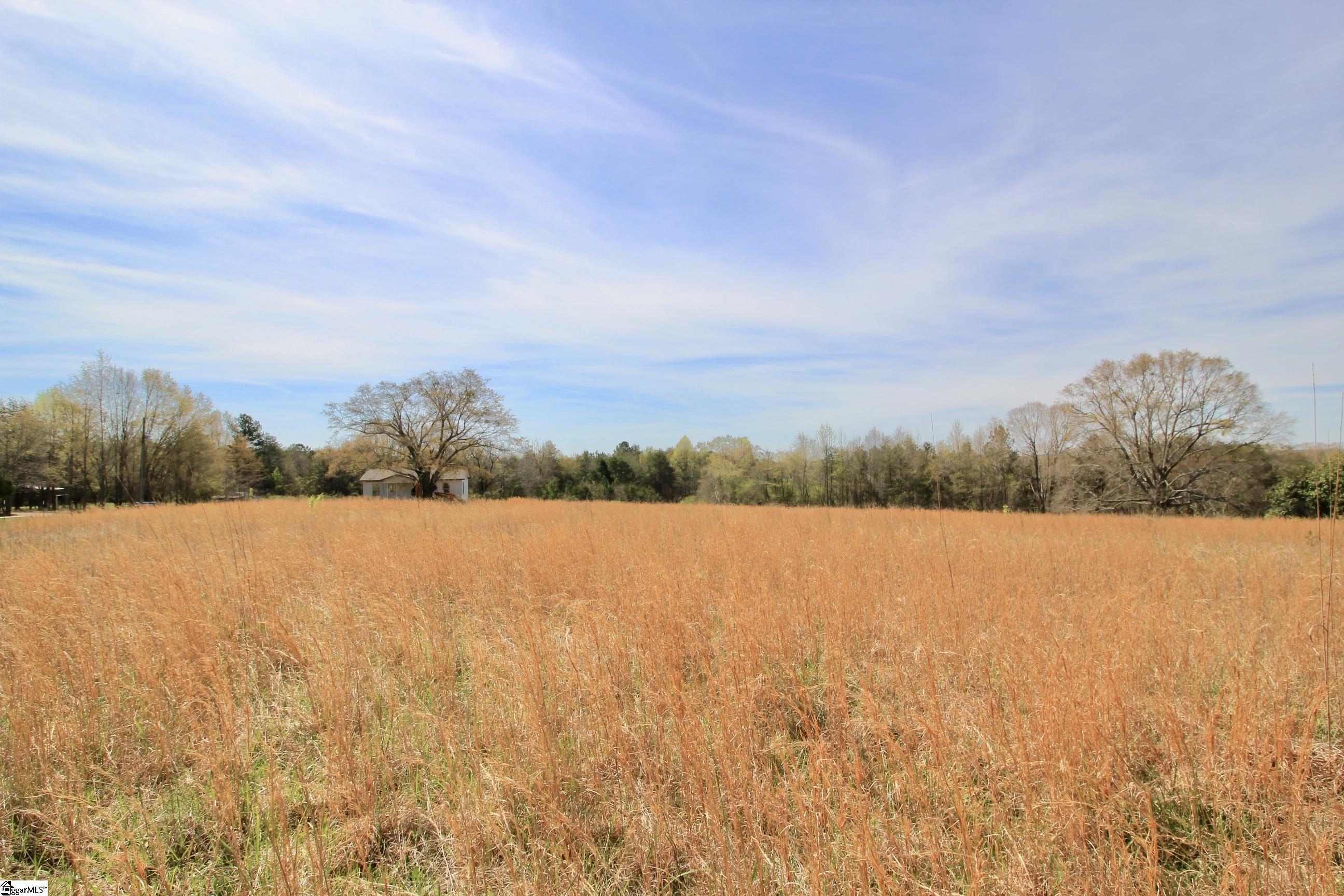 390 Old Mill Road Chesnee, SC 29323 - Photo 23 of 39