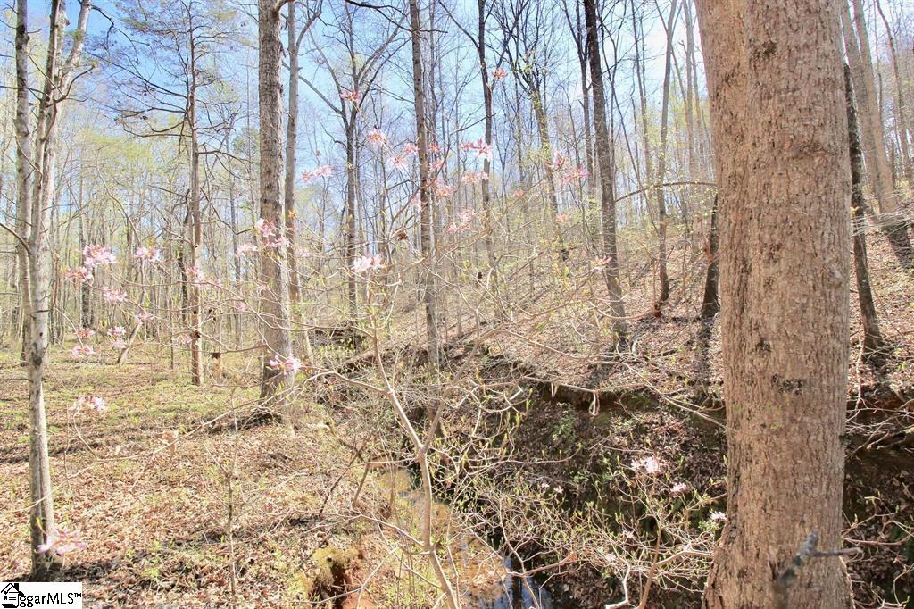 390 Old Mill Road Chesnee, SC 29323 - Photo 24 of 39