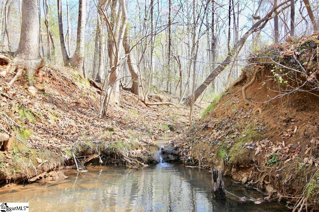 390 Old Mill Road Chesnee, SC 29323 - Photo 27 of 39