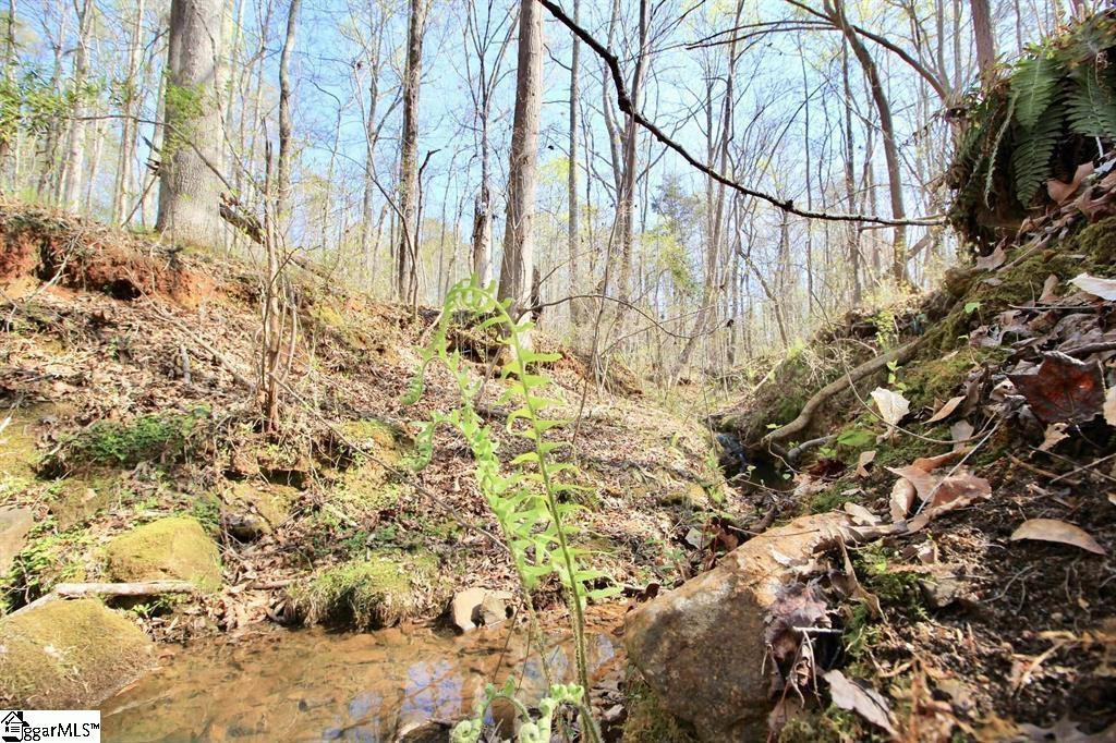 390 Old Mill Road Chesnee, SC 29323 - Photo 28 of 39