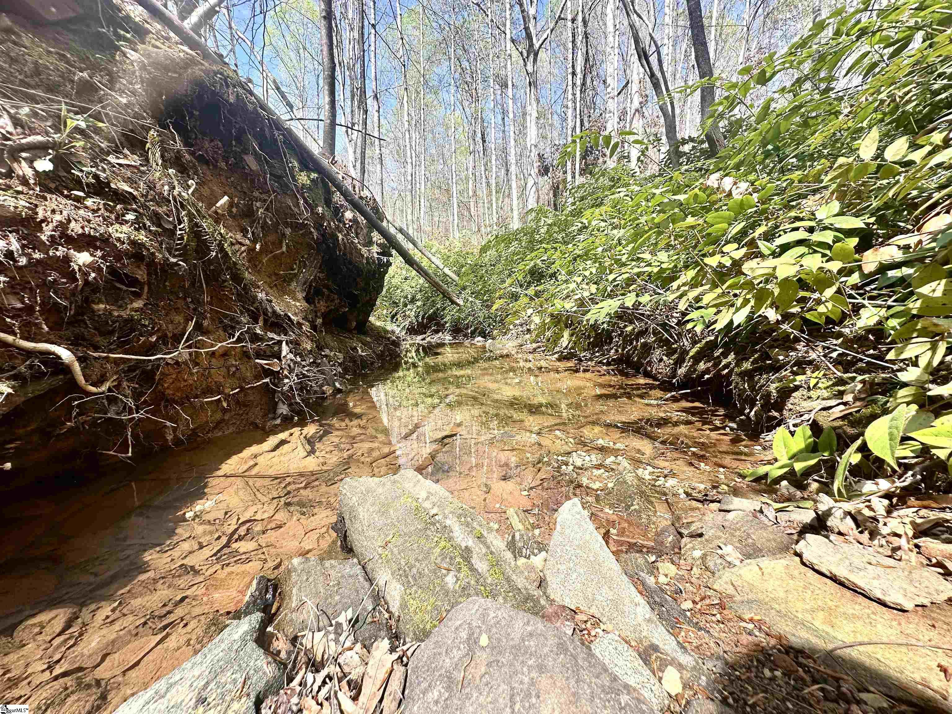 390 Old Mill Road Chesnee, SC 29323 - Photo 29 of 39