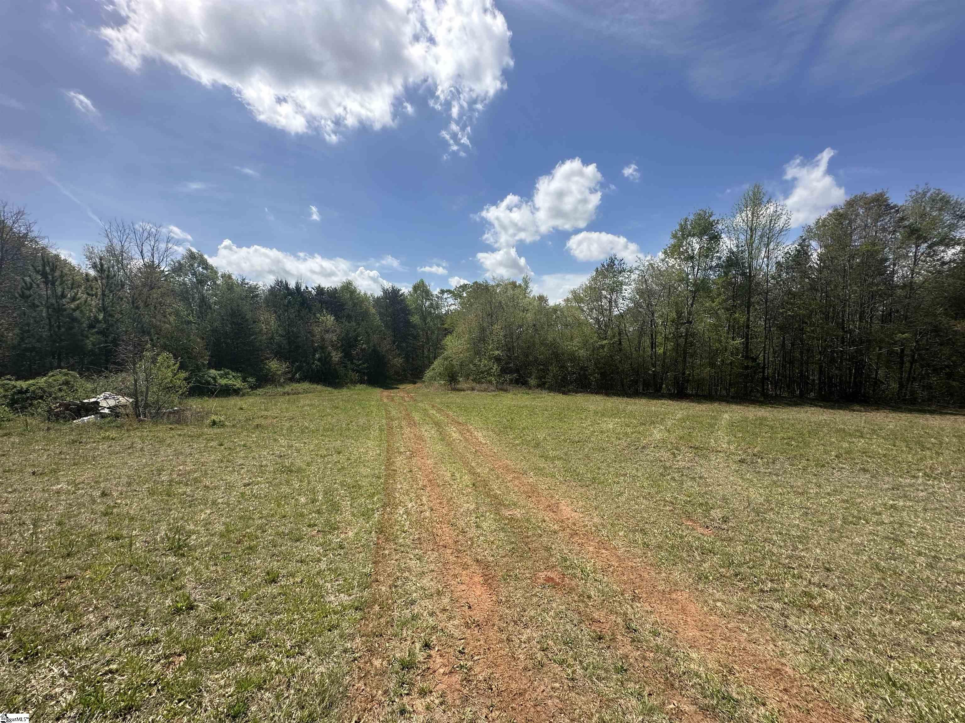 390 Old Mill Road Chesnee, SC 29323 - Photo 32 of 39