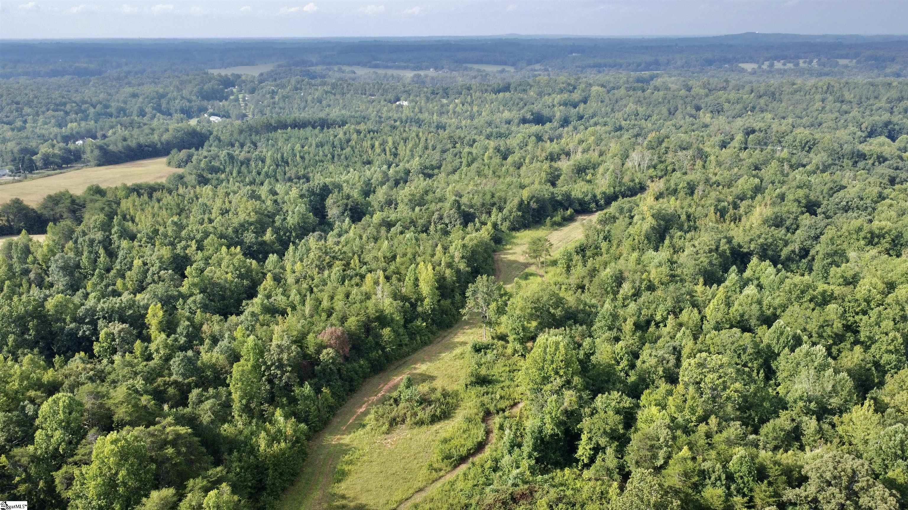 390 Old Mill Road Chesnee, SC 29323 - Photo 6 of 39