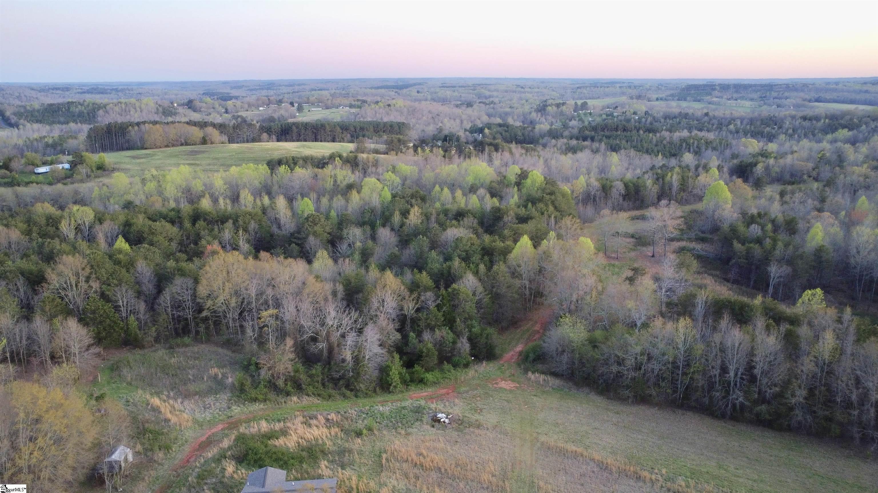 390 Old Mill Road Chesnee, SC 29323 - Photo 8 of 39