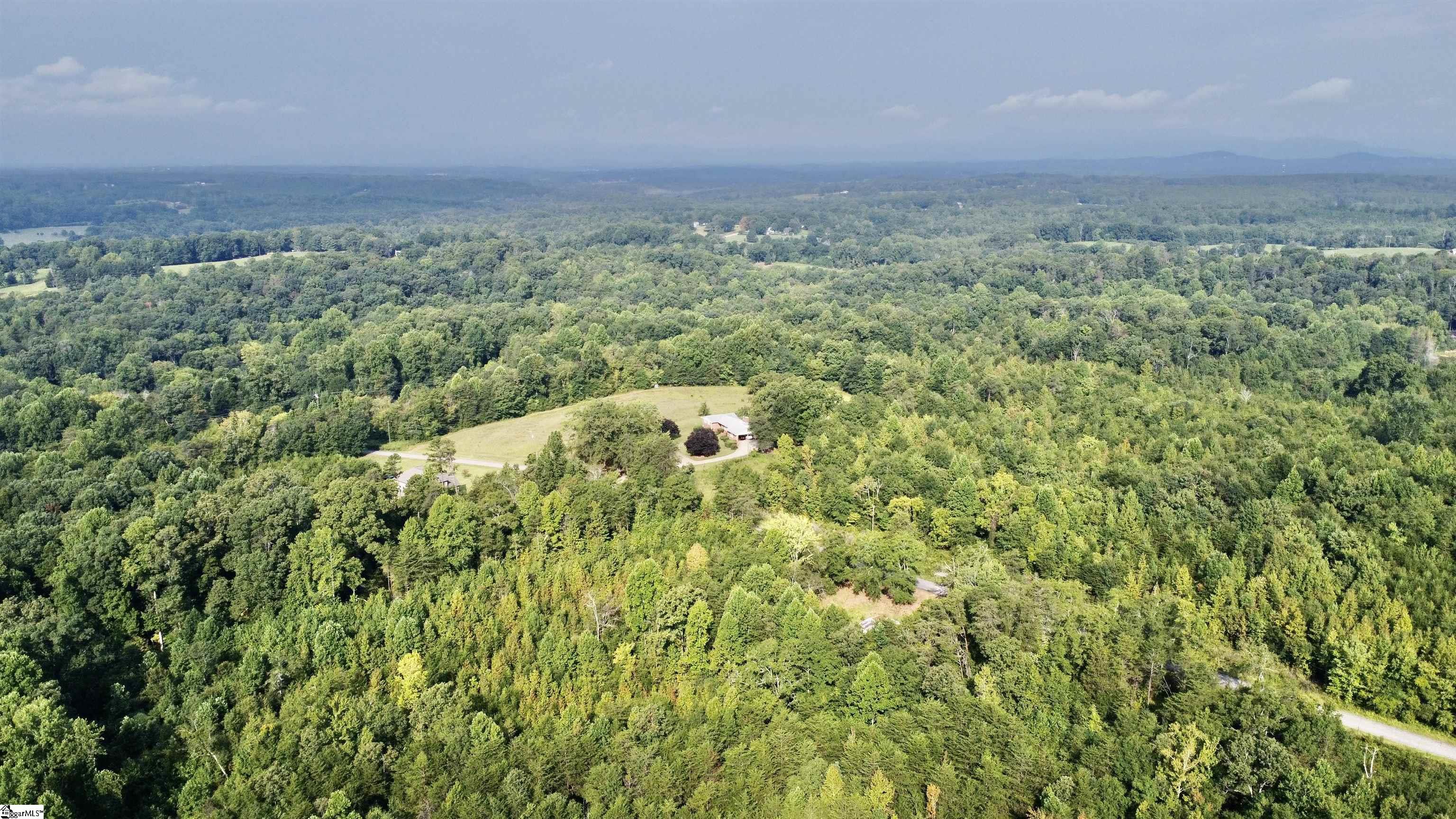 390 Old Mill Road Chesnee, SC 29323 - Photo 9 of 39