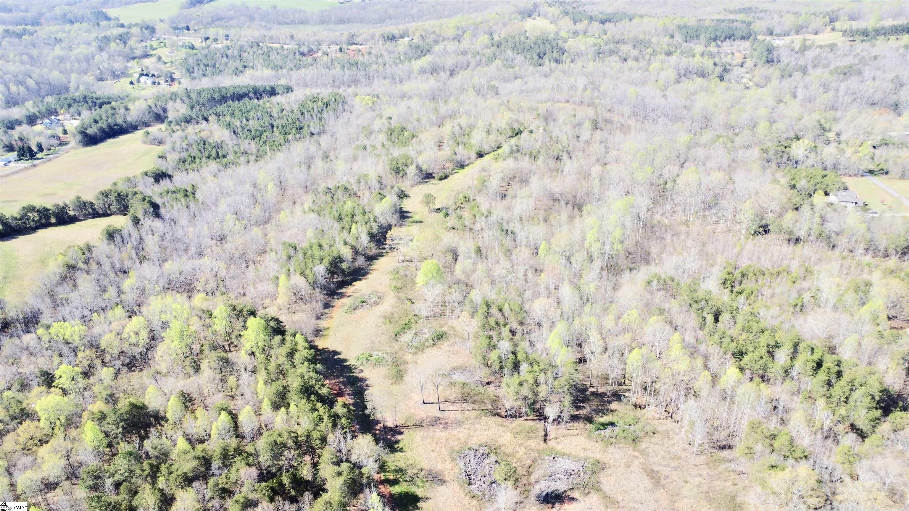 390 Old Mill Road Chesnee, SC 29323 - Photo 10 of 39