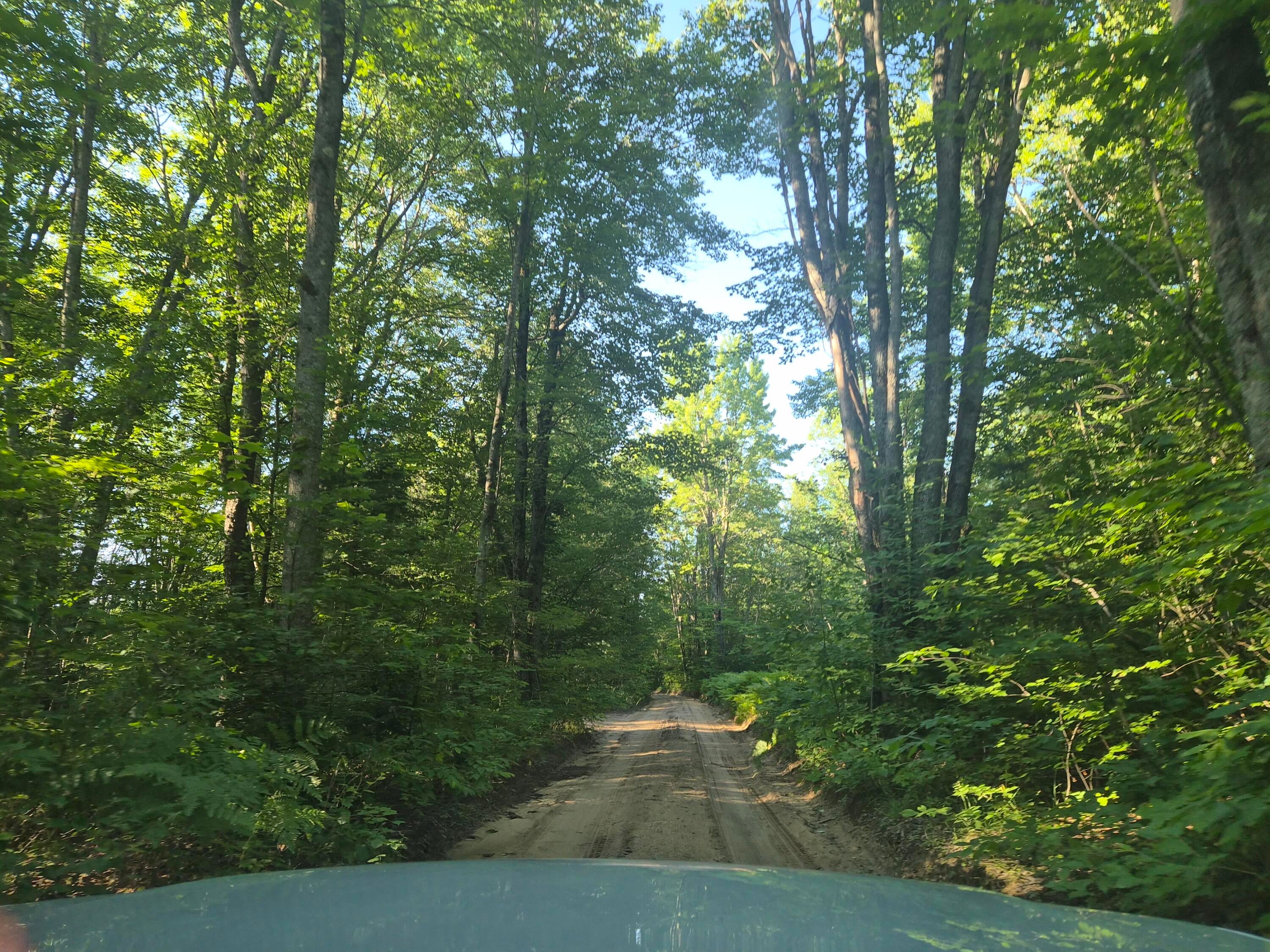 10870 Sutters Mill Road Frederic, MI 49733 - Photo 84 of 88 Gallery Image 84
