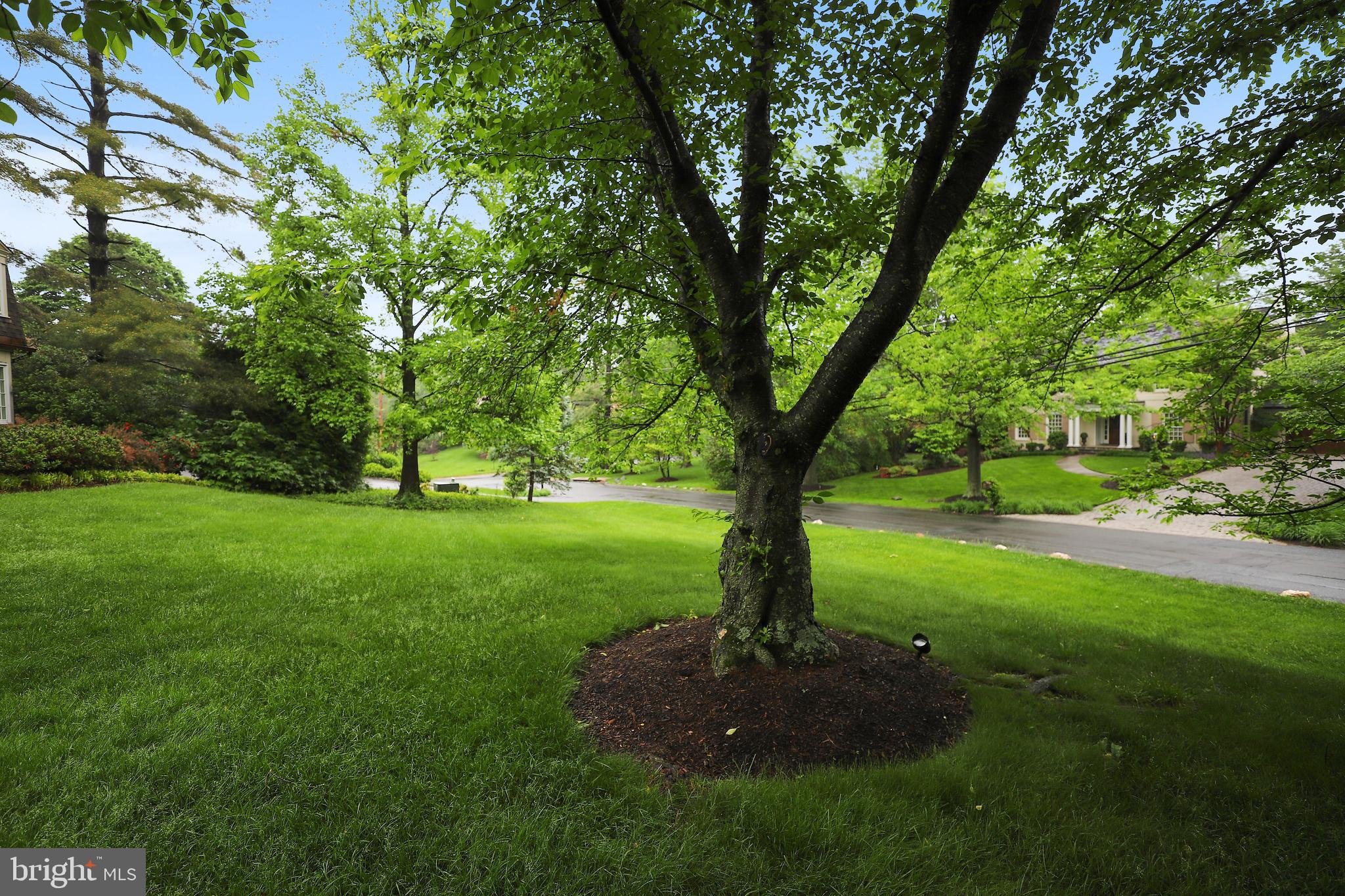 6932 Greentree Road Bethesda, MD 20817 - Photo 3 of 72 Gallery Image 3